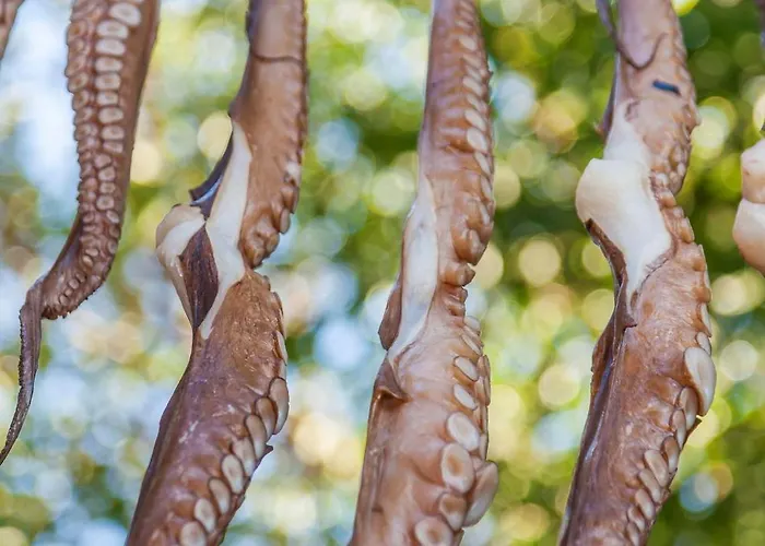 Stunning Santorini 1 Bedroom Indiana Private Heated Plunge Villa *